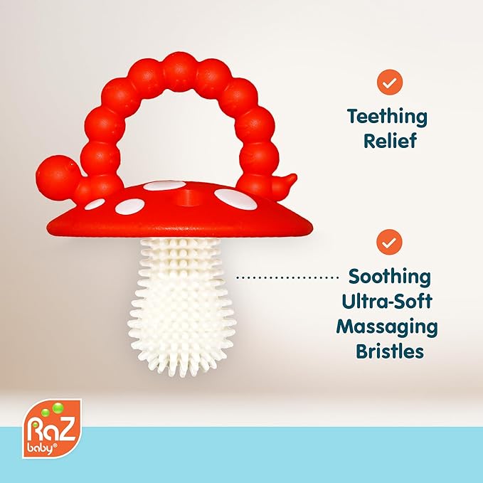 Teether Toy