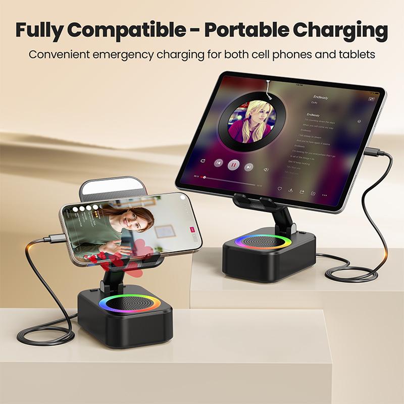 Wireless Induction Speaker
