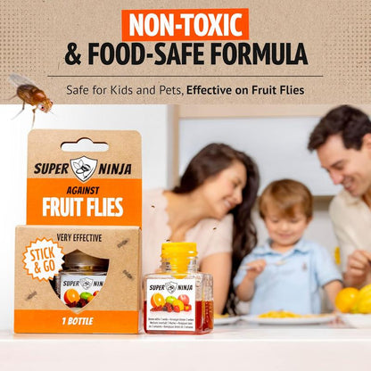 Fruit Fly Trap