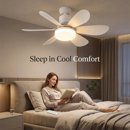 Modern Dimmable E27 LED Fan Light
