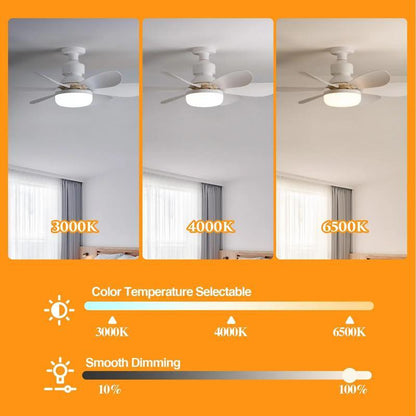 LED Ceiling Fan Light with Remote