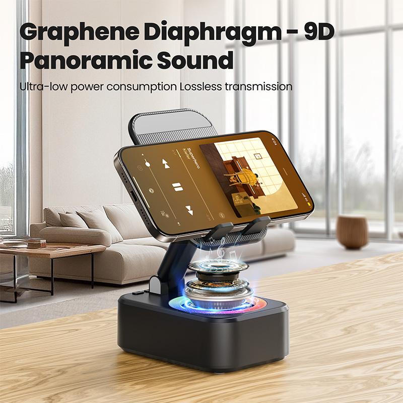Wireless Induction Speaker
